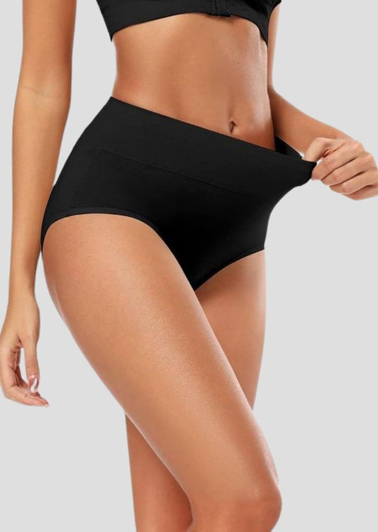 High Waist Sculpting Briefs